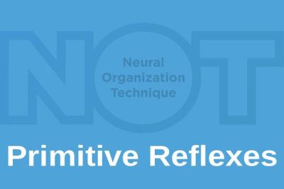 Primitive Reflexes and NOT Seminar